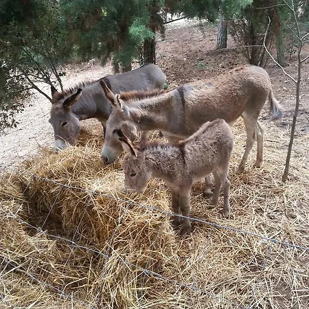 Da Lucia 3*