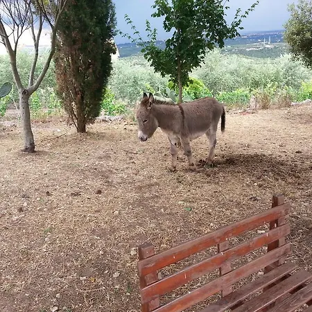 Da Lucia Oda ve Kahvaltı Usini