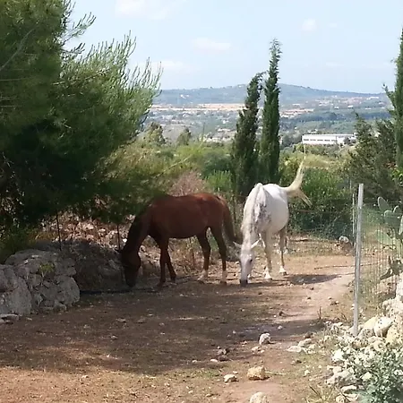 Oda ve Kahvaltı Da Lucia Usini