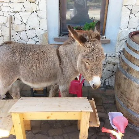 Da Lucia Usini