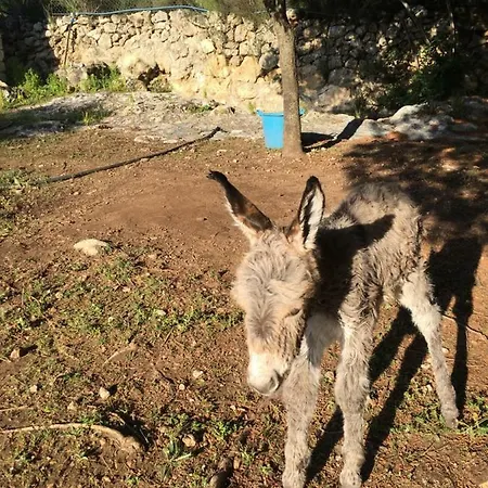 Da Lucia 3* Usini