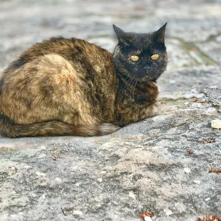 Da Lucia Bed & Breakfast Usini
